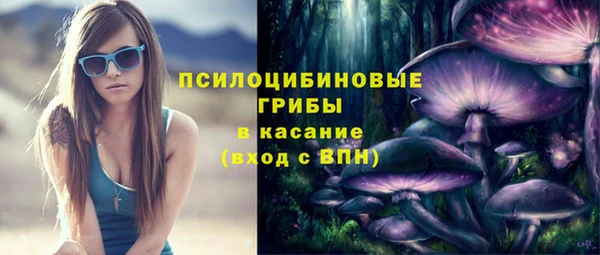 ешки Алексин