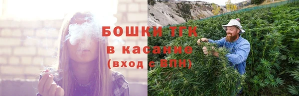 ешки Алексин