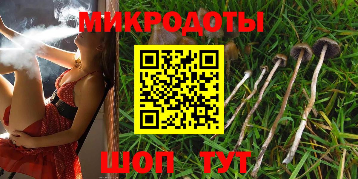 Алексеевка  Псилоцибиновые грибы Magic Shrooms  Вход с VPN 